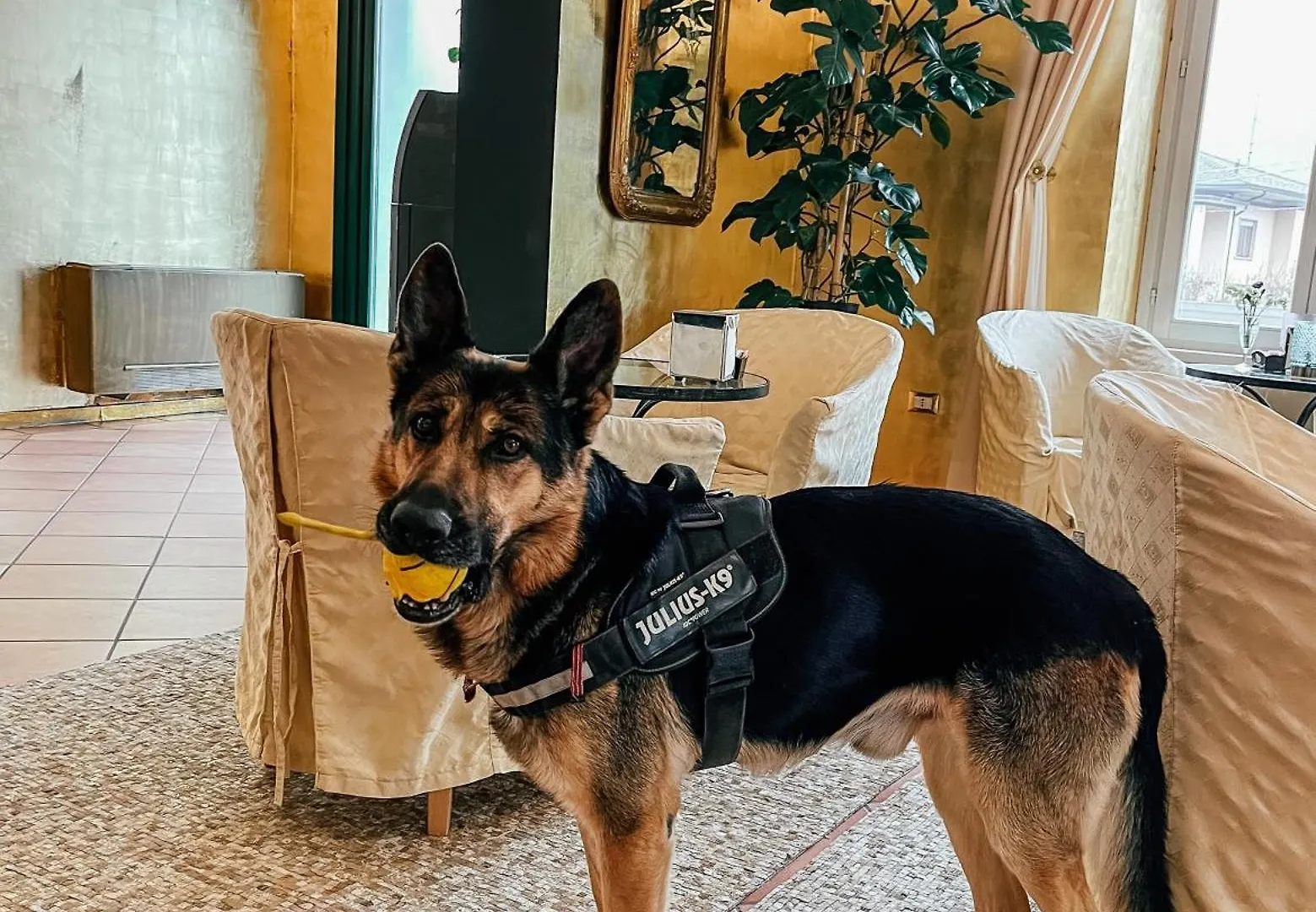 Caroline Hotel Brusimpiano